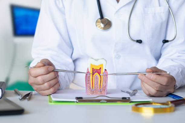 Best Emergency Treatment for Toothache in Coalfield, TN